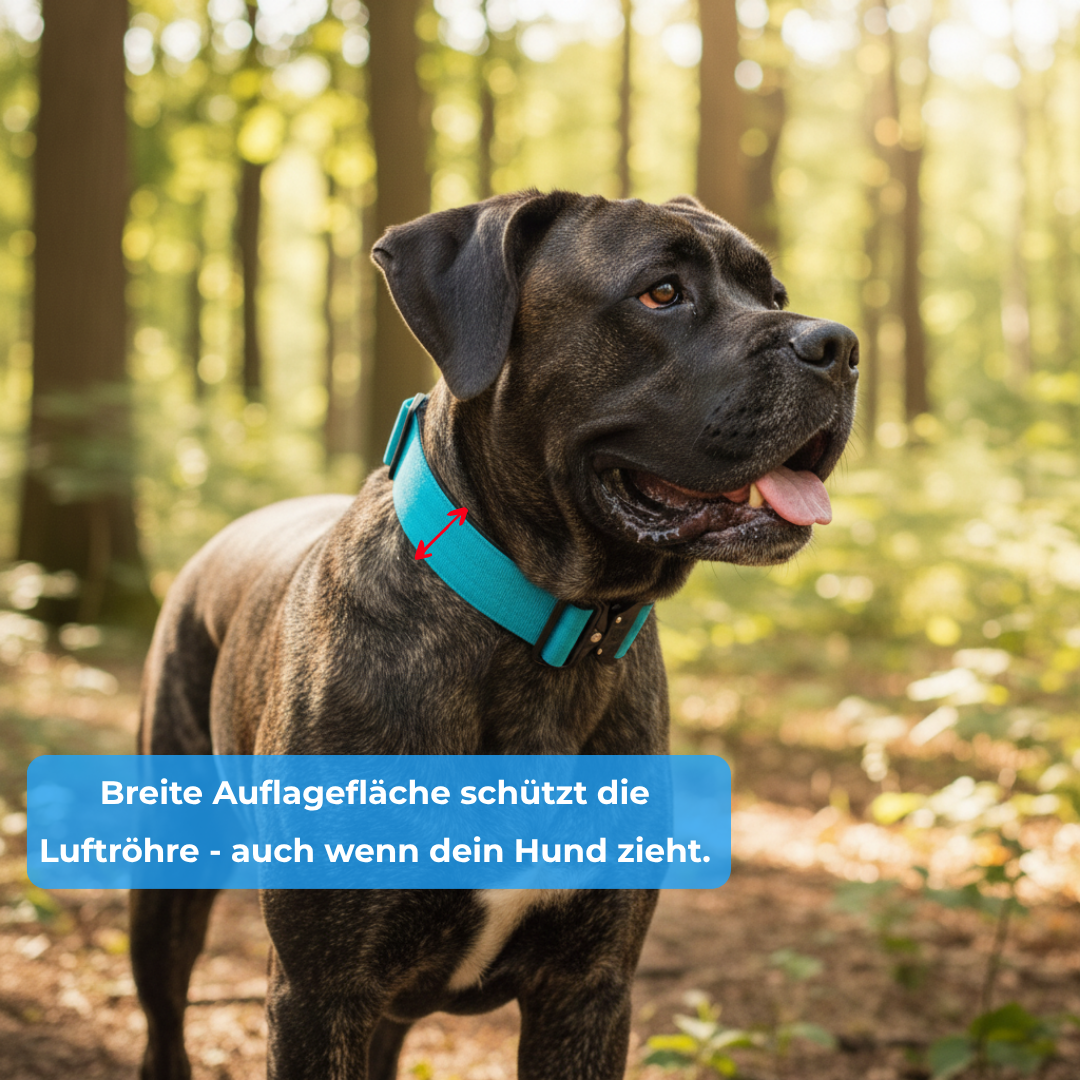 Alpha Hundehalsband mit Griff