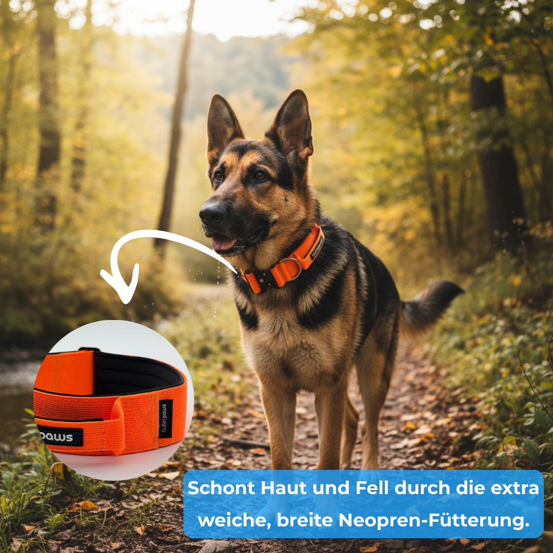 Alpha Hundehalsband mit Griff