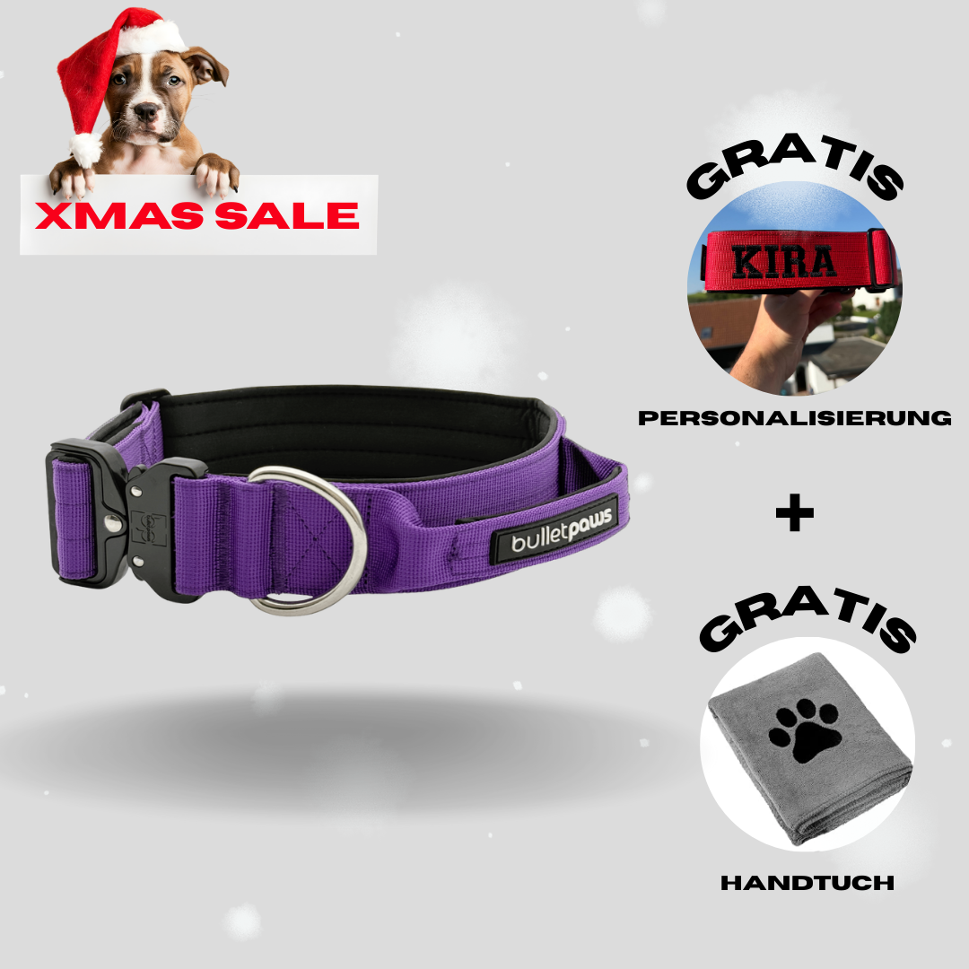 4cm Alpha Hundehalsband mit Griff - Lila