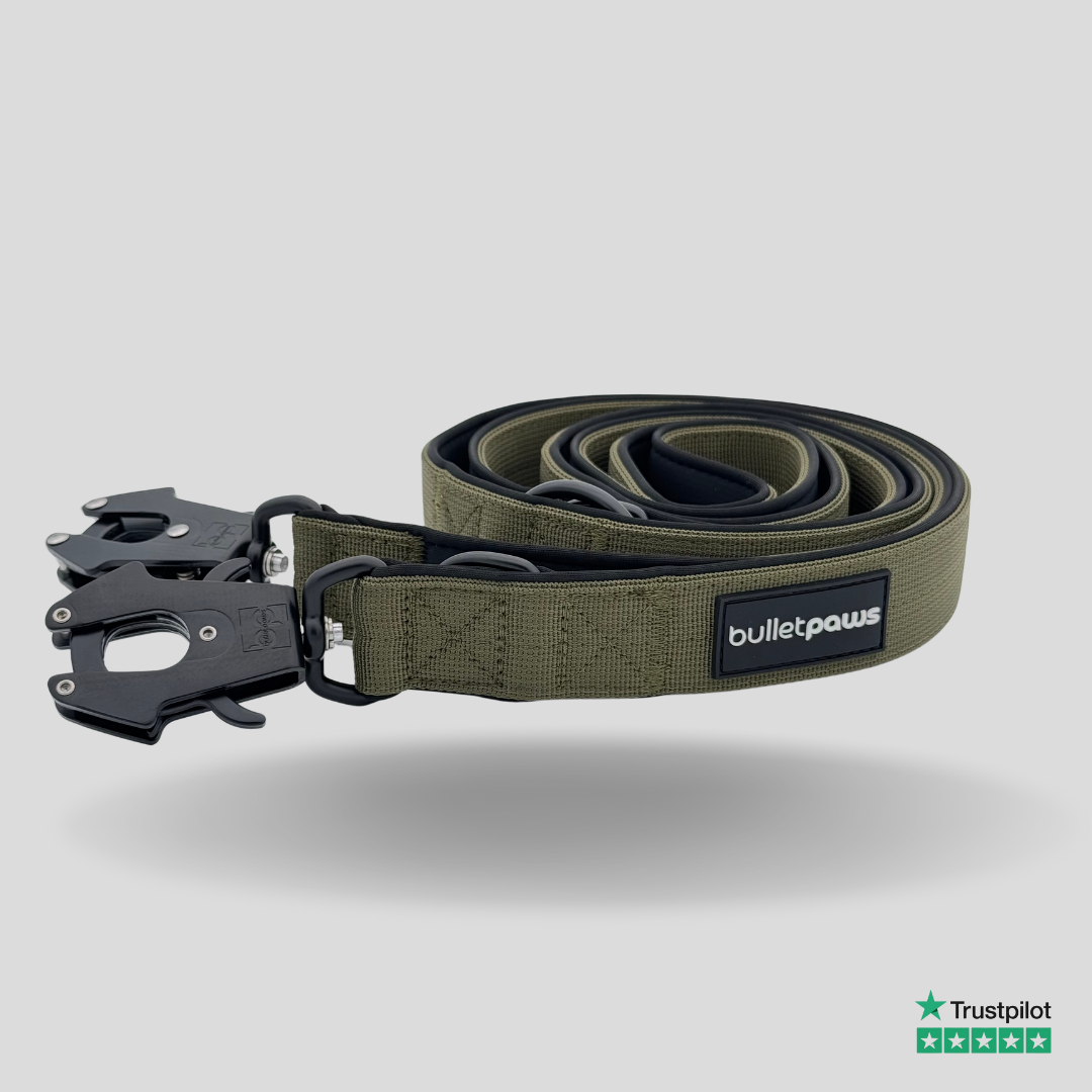 Dreifach verstellbare Hundeleine 2,2m - Khaki - BulletPaws