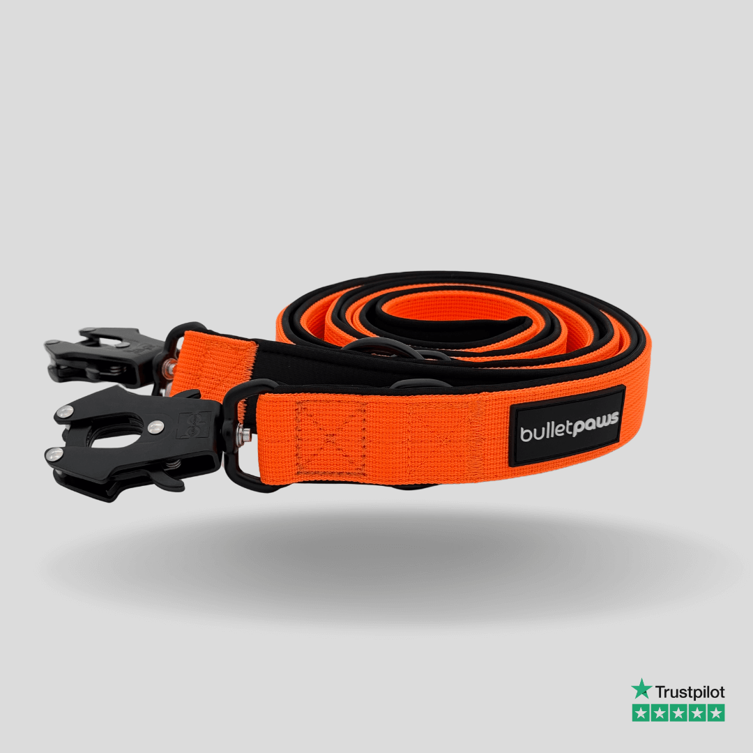 Dreifach verstellbare Hundeleine 2,2m - Orange