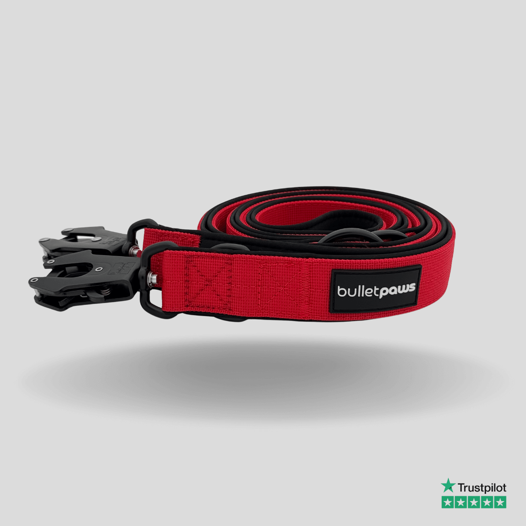 Dreifach verstellbare Hundeleine 2,2m - Rot