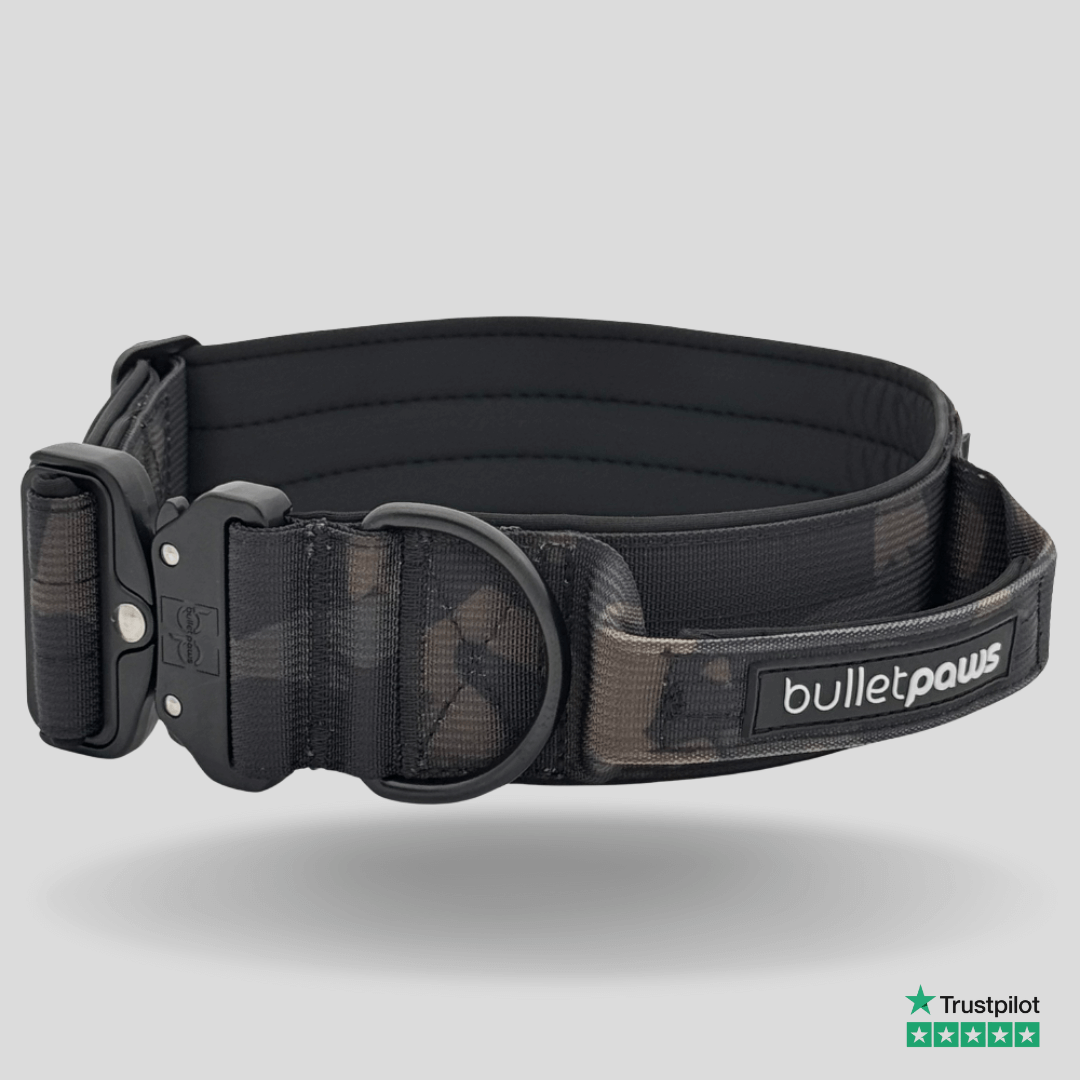 Alpha Hundehalsband® mit Griff - Camouflage