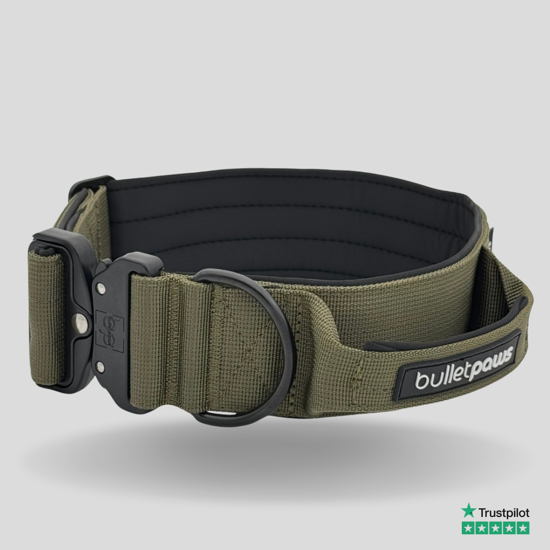Taktisches Halsband® mit Griff - Khaki - BulletPaws