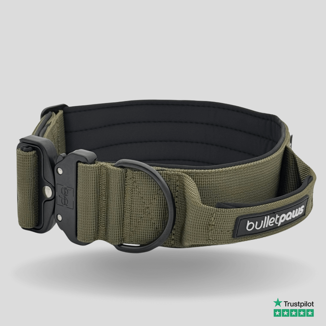 Alpha Hundehalsband® mit Griff - Khaki