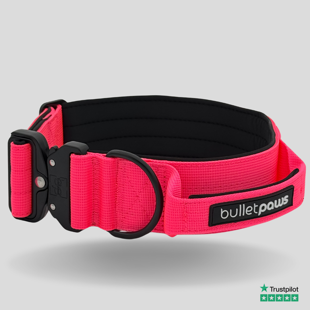 Taktisches Halsband® mit Griff - Pink - BulletPaws