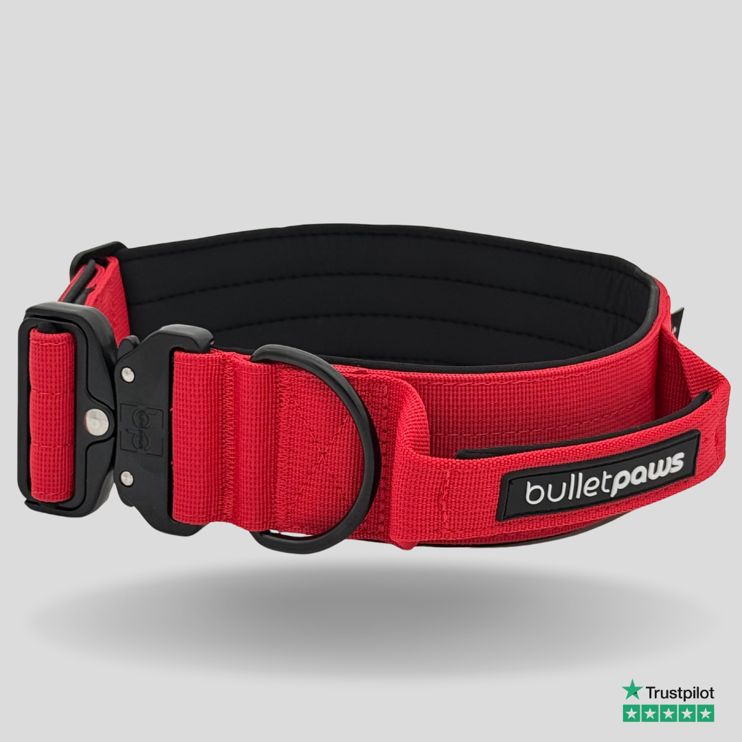 Taktisches Halsband® mit Griff - Rot - BulletPaws